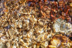 Mono Creek, Pioneer Basin, John Muir Wilderness