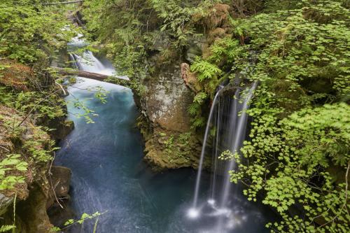Waterfall, Idleyld Park, Oregon