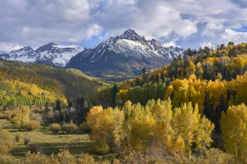 Fall aspens at Mount Sneffels, San Juan Mountains, Colorado