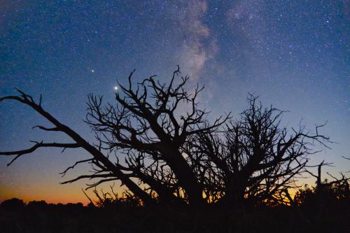 Milky Way over Dead Horse State Park, Utah