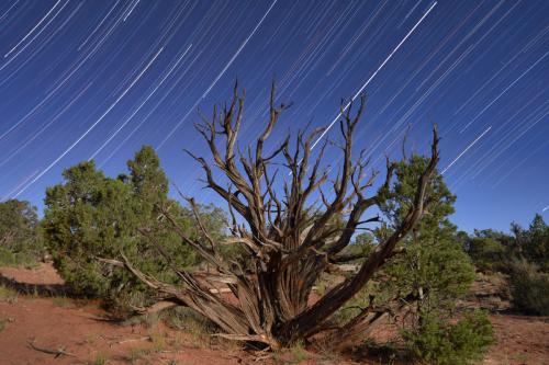Star trails, Dead Horse State Park, Utah